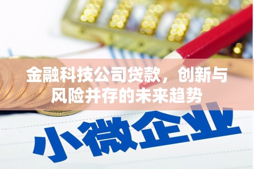 涵江金融科技公司贷款，创新与风险并存的未来趋势