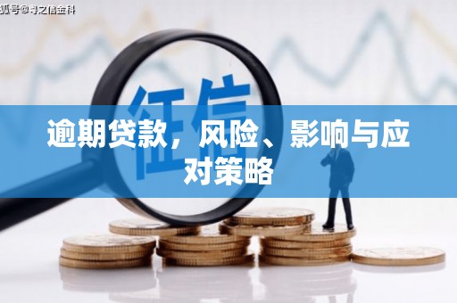 浑南逾期贷款，风险、影响与应对策略