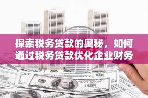 金寨探索税务贷款的奥秘，如何通过税务贷款优化企业财务