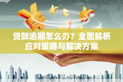 芗城贷款逾期怎么办？全面解析应对策略与解决方案