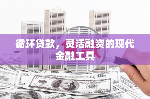 鹿野循环贷款，灵活融资的现代金融工具