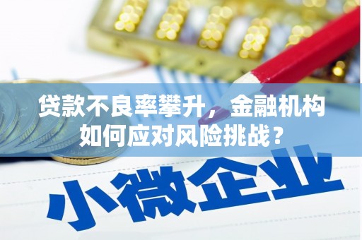 林西贷款不良率攀升，金融机构如何应对风险挑战？