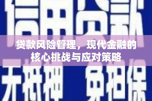 黄梅贷款风险管理，现代金融的核心挑战与应对策略