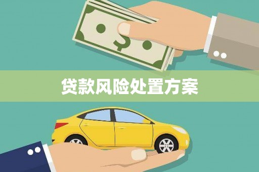 德兴贷款风险处置方案