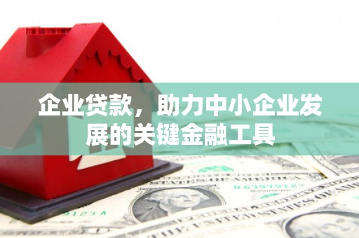 云龙企业贷款，助力中小企业发展的关键金融工具