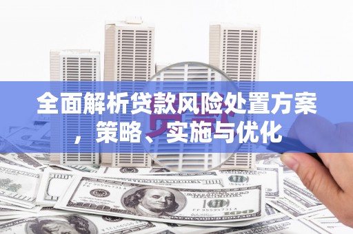 内埔全面解析贷款风险处置方案，策略、实施与优化