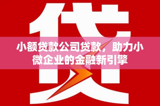 黄平小额贷款公司贷款，助力小微企业的金融新引擎