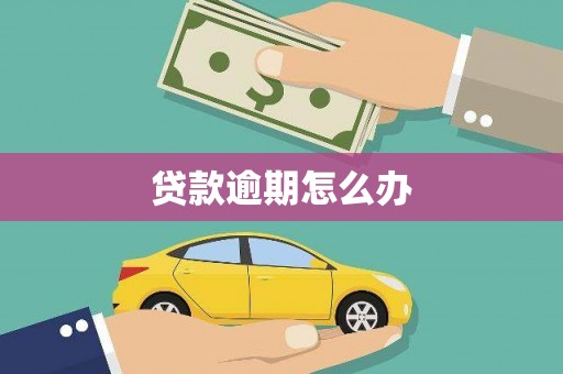 东至贷款逾期怎么办