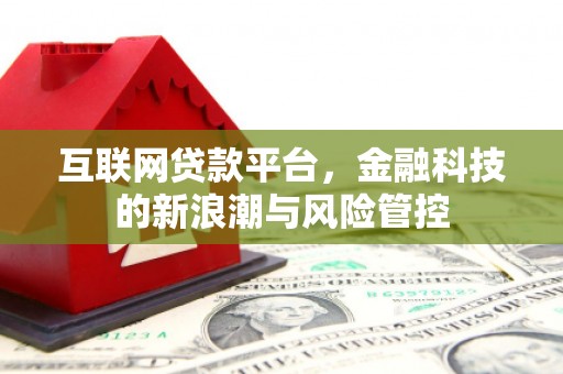 水里互联网贷款平台，金融科技的新浪潮与风险管控