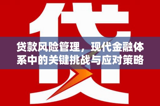 金秀贷款风险管理，现代金融体系中的关键挑战与应对策略
