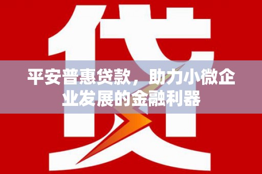 江永平安普惠贷款，助力小微企业发展的金融利器