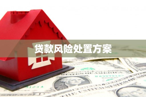 江东贷款风险处置方案