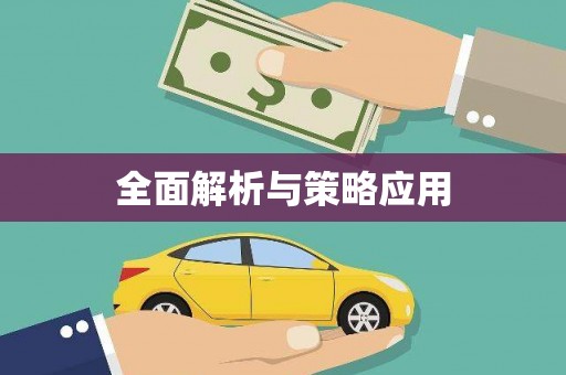 荔城全面解析与策略应用