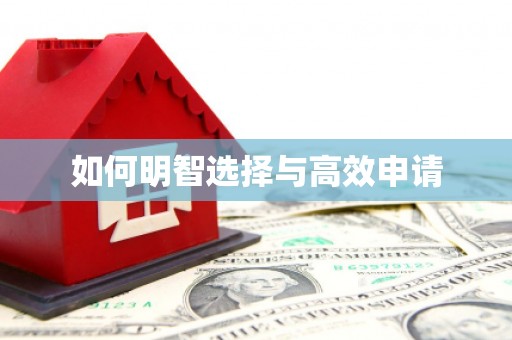 文峰如何明智选择与高效申请