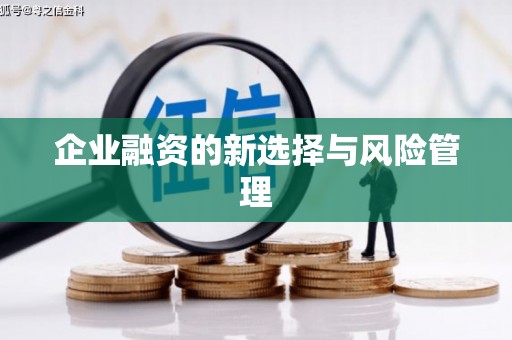 碌曲企业融资的新选择与风险管理