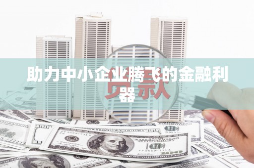 玛曲助力中小企业腾飞的金融利器